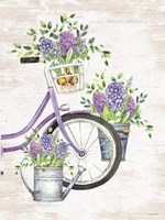 Hyacinth Harvest Fine Art Print