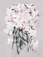 Romantic Floral II Framed Print