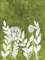 Freshly Cut, Part 2 Framed Print