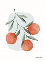 Summer Orange Fine Art Print