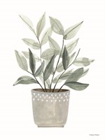 Sage Planter Fine Art Print