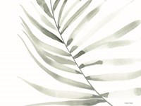 Sage Fern Leaf Fine Art Print
