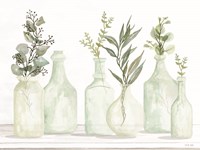 Bottles and Greenery I Fine Art Print