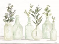 Bottles and Greenery I Framed Print