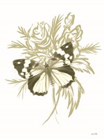 Sage Butterfly Fine Art Print