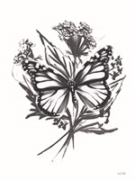 Black & White Butterfly Fine Art Print