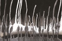 Framework  II Fine Art Print