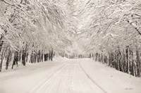 Snowbound Fine Art Print