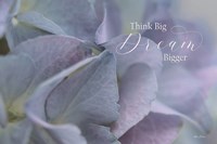 Think Big - Dream Bigger Fine Art Print