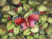 Majestic Butterfly Fine Art Print