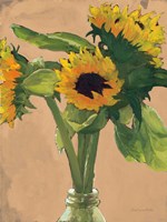 Sunny Fine Art Print