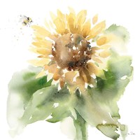 Sunflower Meadow III Fine Art Print