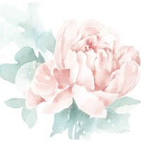 Poetic Blooming I Pink Fine Art Print