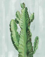 Front Yard Cactus II Slate Fine Art Print