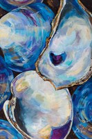 Matunuck Shells Fine Art Print