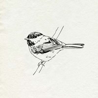 Bird Feeder Friends II Framed Print