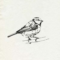 Bird Feeder Friends IV Fine Art Print