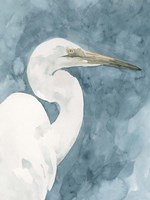 Watercolor Heron Portrait II Fine Art Print