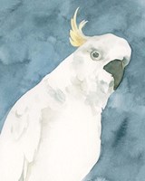 Cockatoo Portrait I Fine Art Print