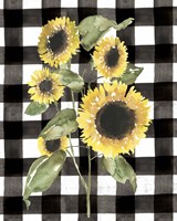 Buffalo Check Sunflower I Framed Print