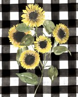Buffalo Check Sunflower II Framed Print