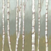 Simple Birchline I Fine Art Print