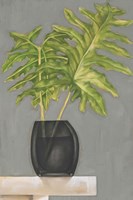 Frond in Vase II Fine Art Print