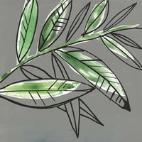 Tropic Botanicals I Framed Print