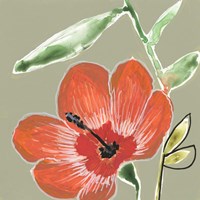 Tropic Botanicals IV Framed Print