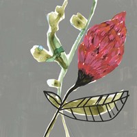 Tropic Botanicals VII Framed Print