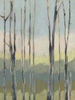 Horizon Through the Trees I Framed Print