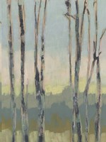 Horizon Through the Trees II Framed Print