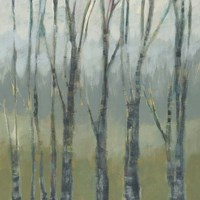 Transitional Treeline II Framed Print