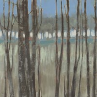 Within the Trees II Framed Print