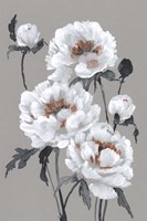 Peony Profusion I Fine Art Print