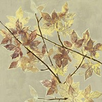 Renewed Maple II Fine Art Print