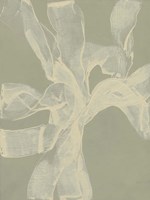 White Ribbon on Celadon II Framed Print