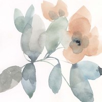 Water and Petals II Fine Art Print