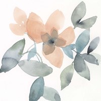 Water and Petals III Fine Art Print