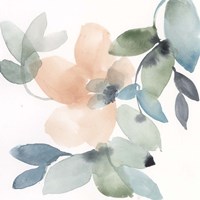 Water and Petals IV Fine Art Print