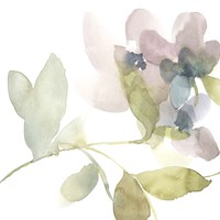 Sweet Petals and Leaves II Fine Art Print