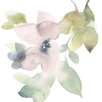 Sweet Petals and Leaves IV Fine Art Print