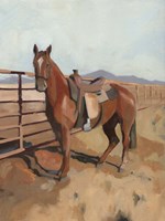 Range Horse II Framed Print