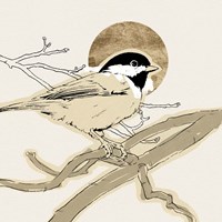 Spring Passerine III Framed Print