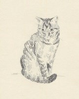 House Cat I Fine Art Print