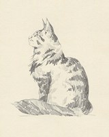 House Cat II Fine Art Print