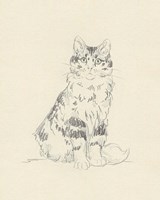 House Cat III Fine Art Print