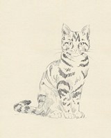 House Cat IV Fine Art Print