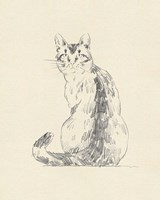 House Cat V Fine Art Print
