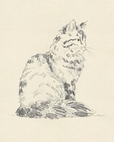 House Cat VI Fine Art Print